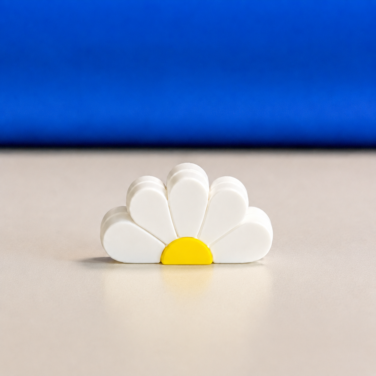 Suporte Foto Flor